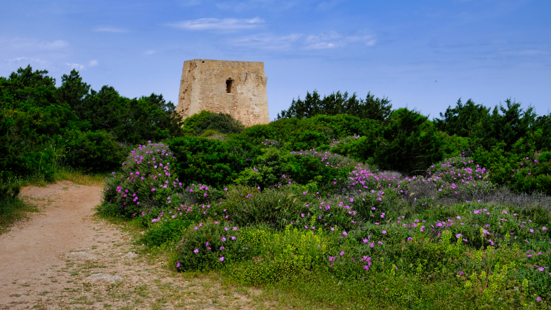 2025_05_05_100642_apulien-2025.jpg - Torre Pozelle