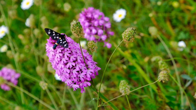 2025_05_08_084336_apulien-2025.jpg - Wanderung Casalini