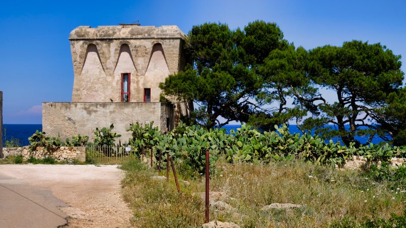 2025_05_12_122010_apulien-2025.jpg - Torre Incina