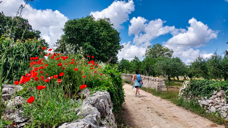 2025_05_17_124049_apulien-2025.jpg - Wanderung rund um Correga