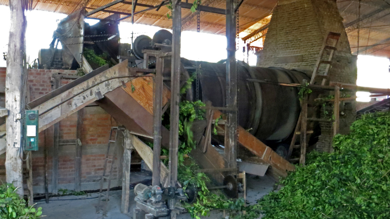 2015-02-09_17-17-25_argentinien-2015.jpg - Besichtigung der Mateplantagen und Verarbeitung