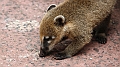 2015-02-11_10-34-00_argentinien-2015