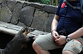 2015-02-11_10-38-00_argentinien-2015