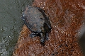 2015-02-11_12-55-32_argentinien-2015