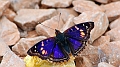 2015-02-11_13-40-40_argentinien-2015