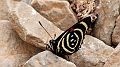 2015-02-11_13-41-50_argentinien-2015