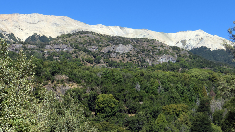 2015-02-14_16-42-52_argentinien-2015.jpg - Nationalpark "Los Alcerces"