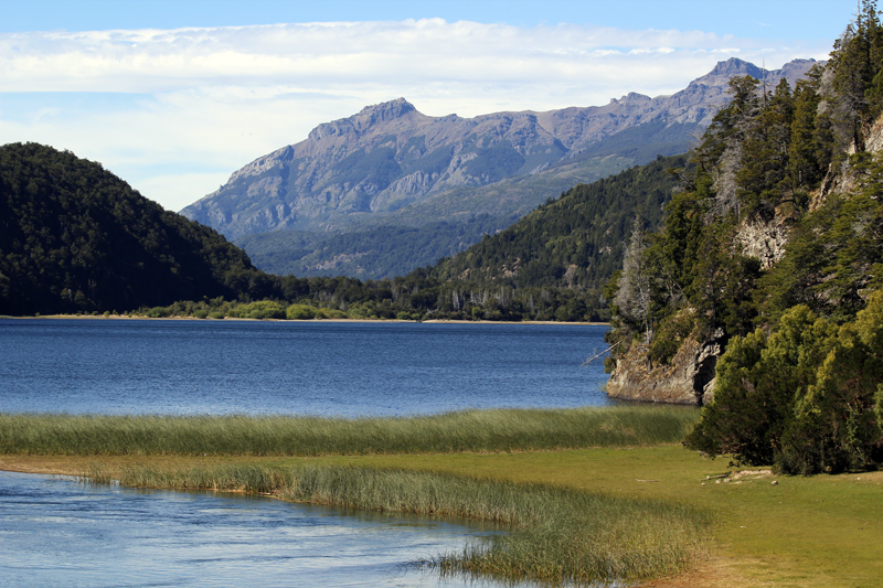 2015-02-14_17-11-40_argentinien-2015.jpg - Zwischenstopp im Nationalpark "Los Alcerces"