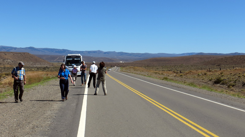 2015-02-15_11-51-45_argentinien-2015.jpg - Stopp fr Fotos und andere Gelegenheiten 