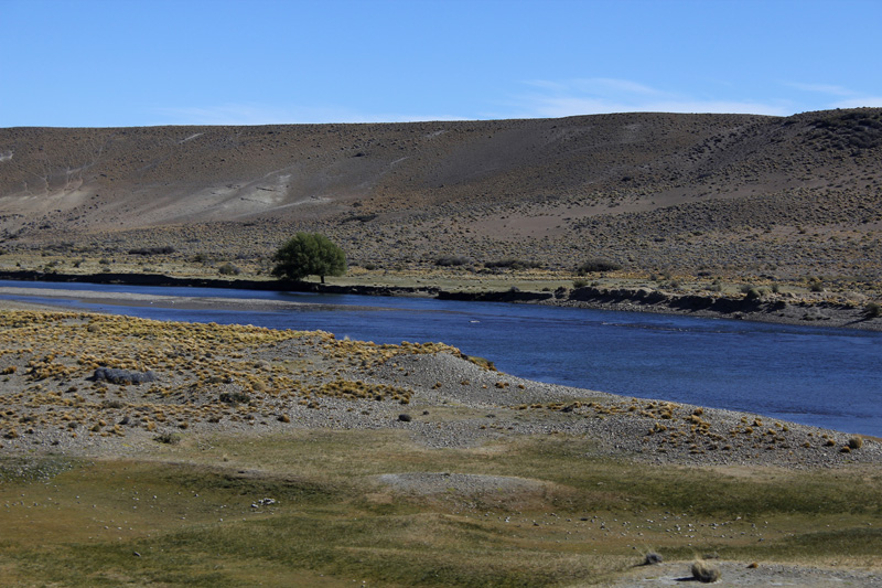 2015-02-15_16-50-55_argentinien-2015.jpg - Aus den Anden kommt das kostbare Nass - der Rio Senguer