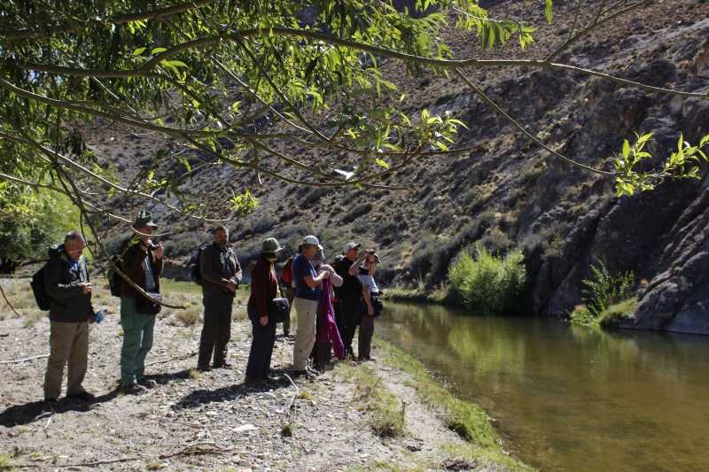 2015-02-16_11-48-39_argentinien-2015.jpg - Tal des Rio Pinturas