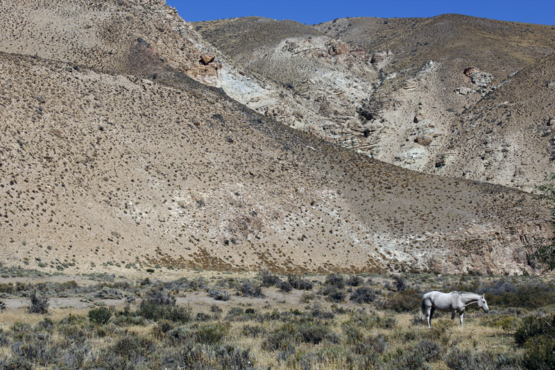 2015-02-16_12-37-49_argentinien-2015.jpg - Tal des Rio Pinturas