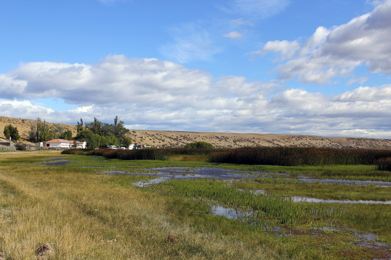 2015-02-17_10-42-30_argentinien-2015.jpg - Estancia La Angostura