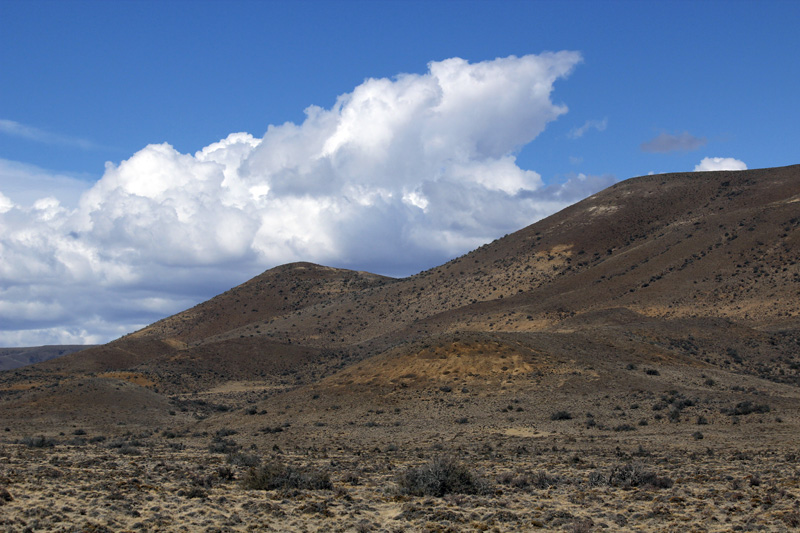 2015-02-17_15-37-10_argentinien-2015.jpg - Patagonische Halbwste