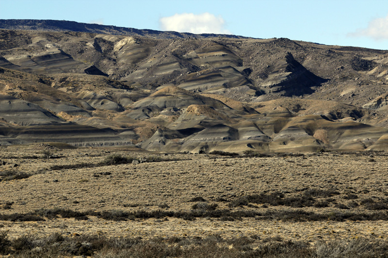 2015-02-17_17-24-56_argentinien-2015.jpg - Patagonische Halbwste