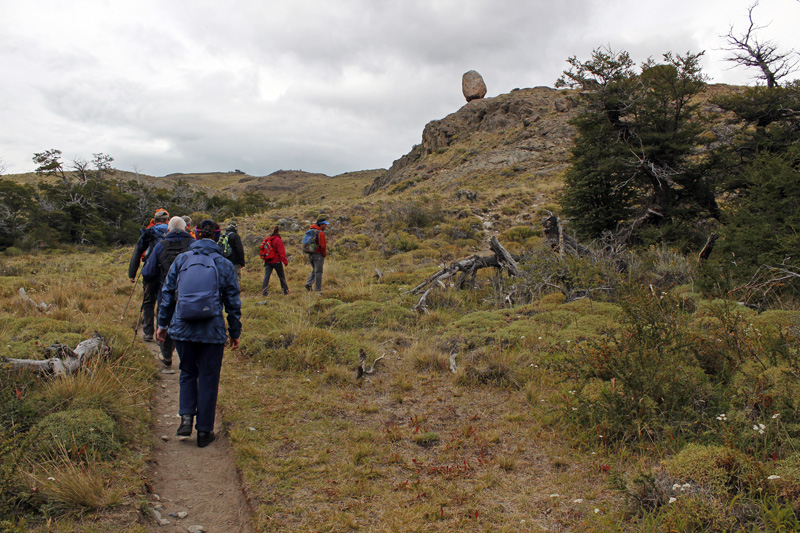 2015-02-18_09-03-20_argentinien-2015.jpg - Wanderung zum Aussichtspunkt am Loma del Pliegue Tumbado (ca. 900 Hhenmeter)