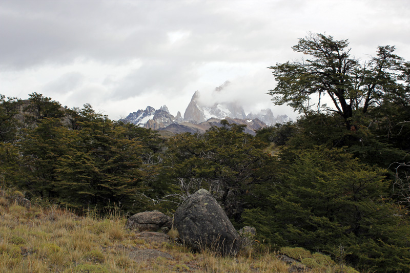 2015-02-18_09-05-09_argentinien-2015.jpg - Wanderung zum Aussichtspunkt am Loma del Pliegue Tumbado