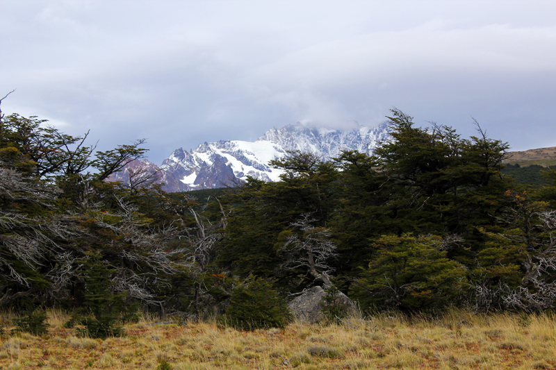 2015-02-18_10-05-27_argentinien-2015.jpg - Wanderung zum Aussichtspunkt am Loma del Pliegue Tumbado