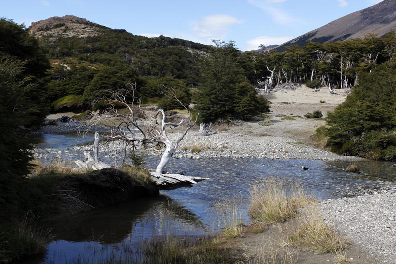 2015-02-19_11-44-06_argentinien-2015.jpg - Im Nationalpark Los Glaciares