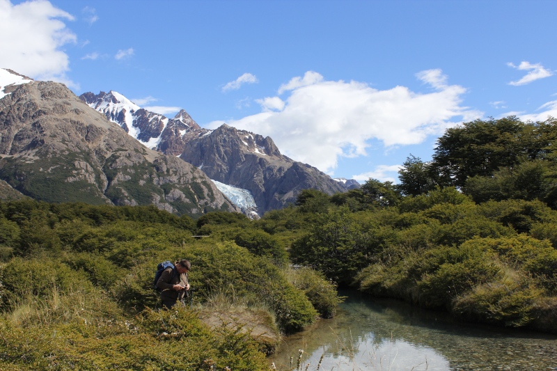 2015-02-19_11-48-31_argentinien-2015.jpg - Im Nationalpark Los Glaciares - Corillo del Salto