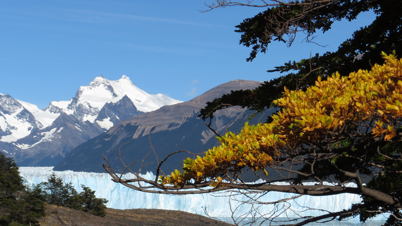 2015-02-21_10-10-56_argentinien-2015.jpg - Los Glaciares Nationalpark