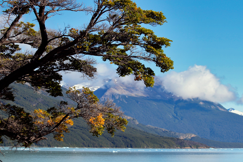 2015-02-21_10-14-29_argentinien-2015.jpg - Los Glaciares Nationalpark