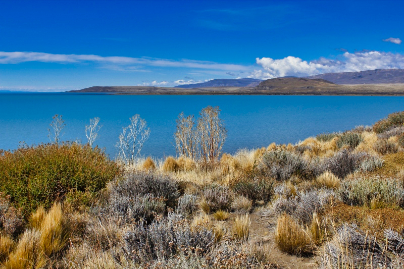 2015-02-21_14-58-22_argentinien-2015.jpg - Rckfahrt nach El Calafate