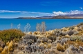 2015-02-21_14-58-22_argentinien-2015