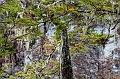 2015-02-23_10-58-16_argentinien-2015