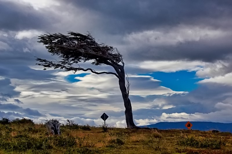 2015-02-24_09-19-11_argentinien-2015.jpg - Tierra del Fuego - wildes Feuerland