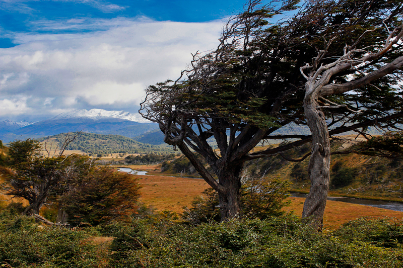 2015-02-24_09-19-40_argentinien-2015.jpg - Tierra del Fuego - wildes Feuerland