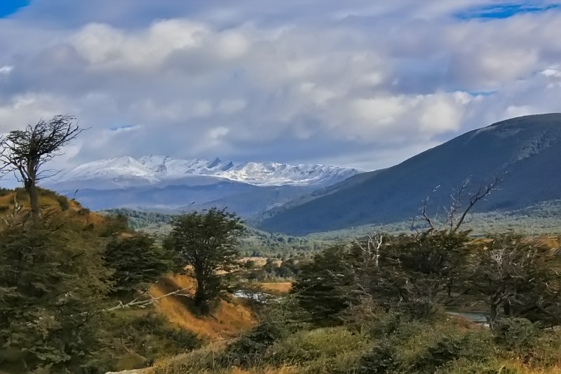 2015-02-24_09-21-26_argentinien-2015.jpg - Tierra del Fuego - wildes Feuerland