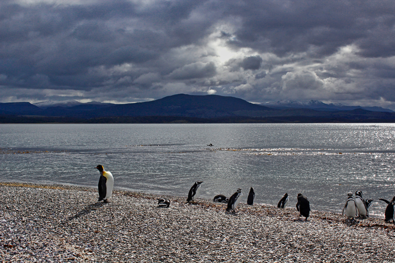 2015-02-24_11-21-08_argentinien-2015.jpg - Strandleben