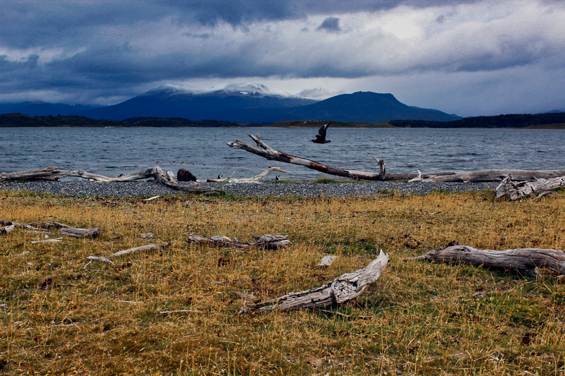 2015-02-24_11-30-07_argentinien-2015.jpg - Tierra del Fuego - wildes Feuerland