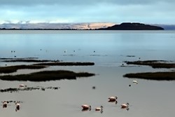 Lagune in Calafate