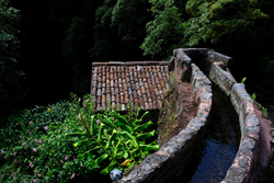 Parque Natural da Ribeira dos Caldeirones