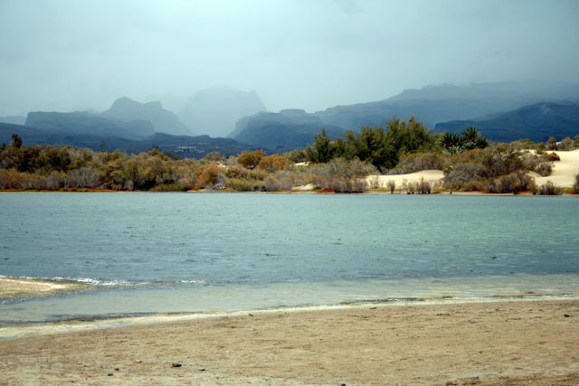 2009-03-02_16-58-40.jpg - In den Dnen von Maspalomas