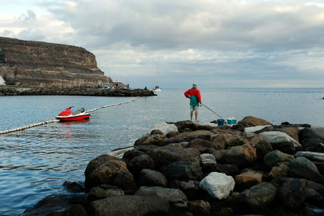 2009-03-02_20-05-35.jpg - Pertri heil!