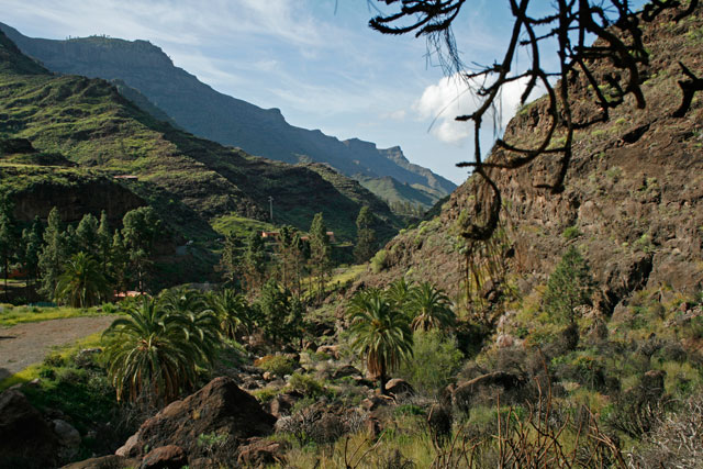 2009-03-01_12-19-14.jpg - Paso de Ojeda