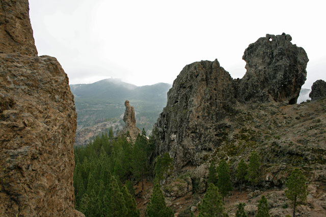 2009-03-01_14-17-05.jpg - Auf dem Weg zum Roque Nublo