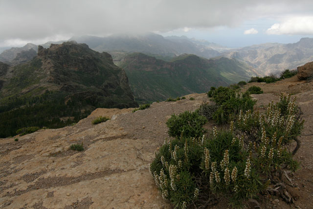 2009-03-01_14-28-02.jpg - Auf dem Weg zum Roque Nublo