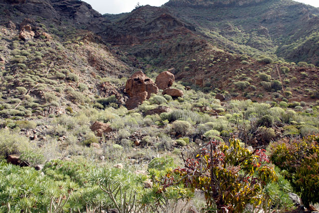 2009-03-02_12-29-42.jpg - Im Barranco del Cura