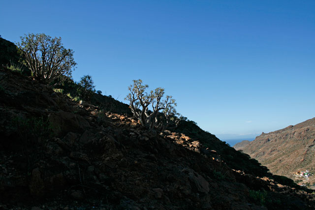 2009-03-05_11-54-02.jpg - Auf dem Weg zur Canada de los Parados