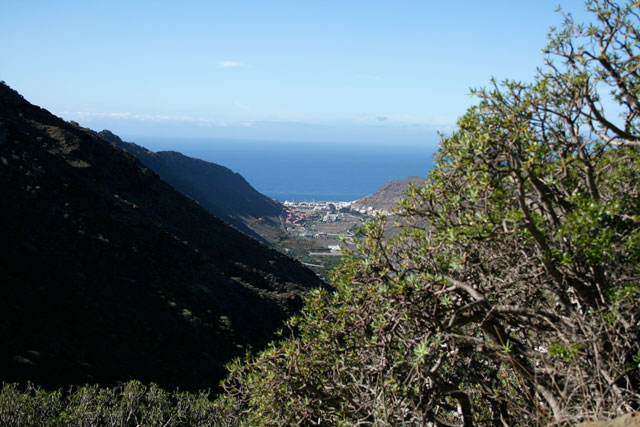 2009-03-05_12-16-28.jpg - Weg zur Canada de los Parados mit Blick auf Puerto de Mogan