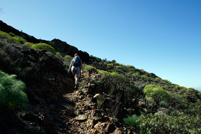 2009-03-05_12-50-10.jpg - Auf dem Weg zur Canada de los Parados