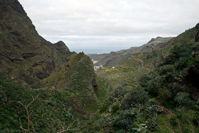 2009-03-06_13-54-01.jpg - Feuchtbarranco von Agaete