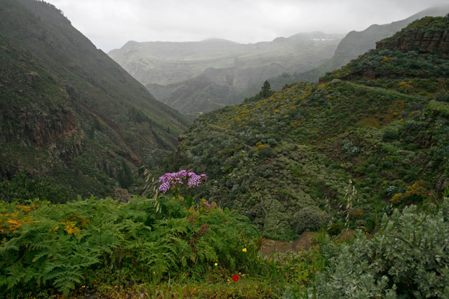 2009-03-06_15-29-10.jpg - Bei El Hornillo