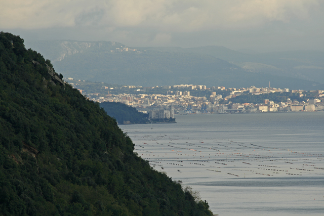 2010-09-25_17-42-41_friaul_2010.jpg - Blick vom Campingplatz nach Triest, mit Schlo Miramar