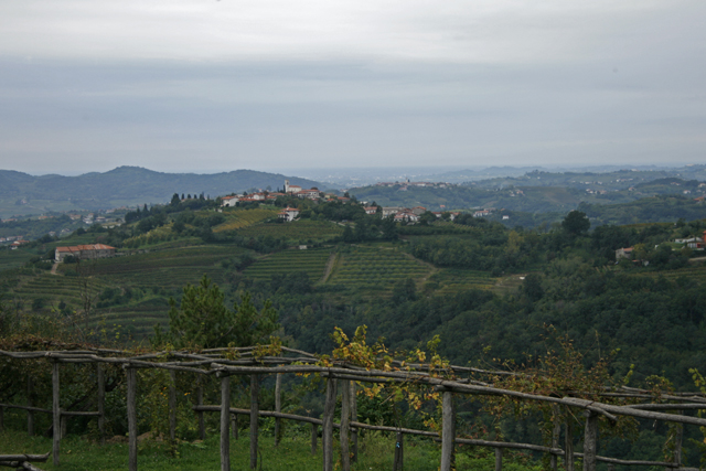 2010-10-01_11-35-43_friaul_2010.jpg - Im Collio