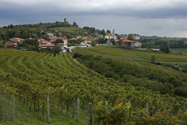 2010-10-01_13-49-11_friaul_2010.jpg - Im Collio